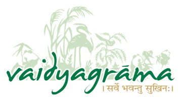 Vaidyagrama